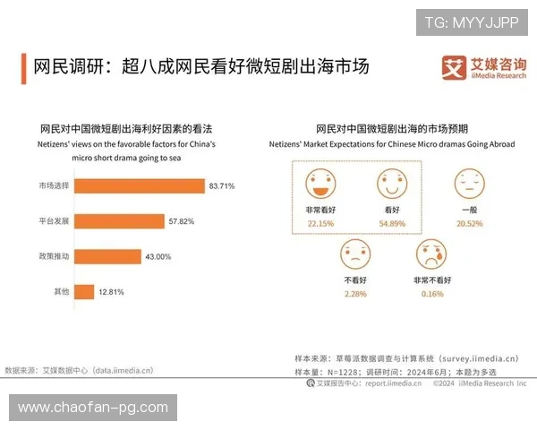 ds视讯的未来发展趋势与市场潜力分析 ds视讯的未来发展趋势与市场潜力分析